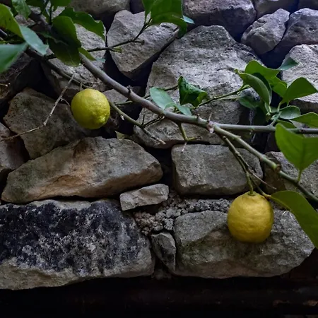 Il Corvo Di Pietra *