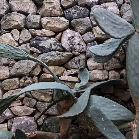 Il Corvo Di Pietra Scicli